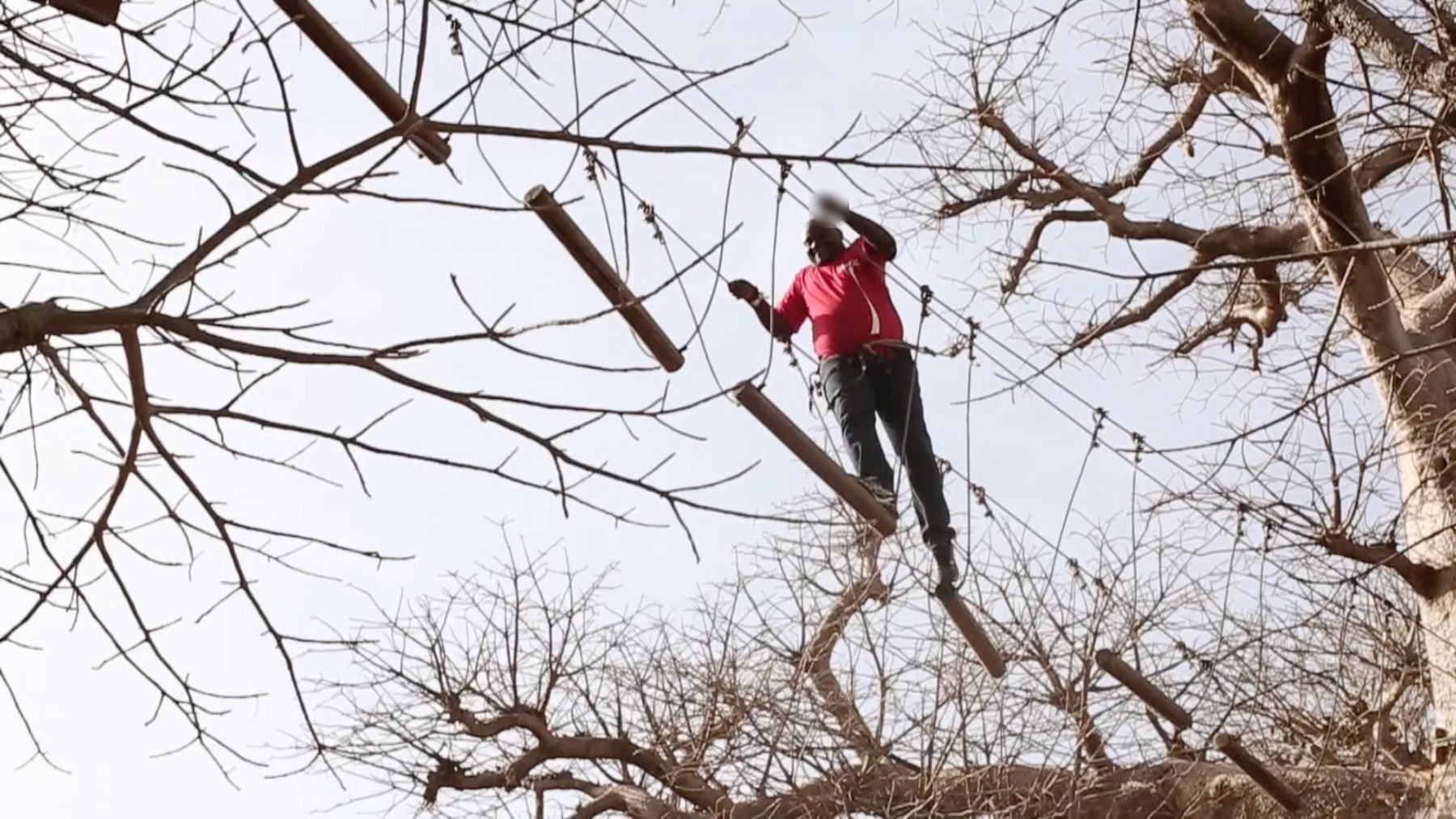 Parcours aventure en hauteur dans les arbres